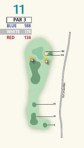 hole11