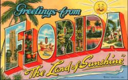 Florida Postcard